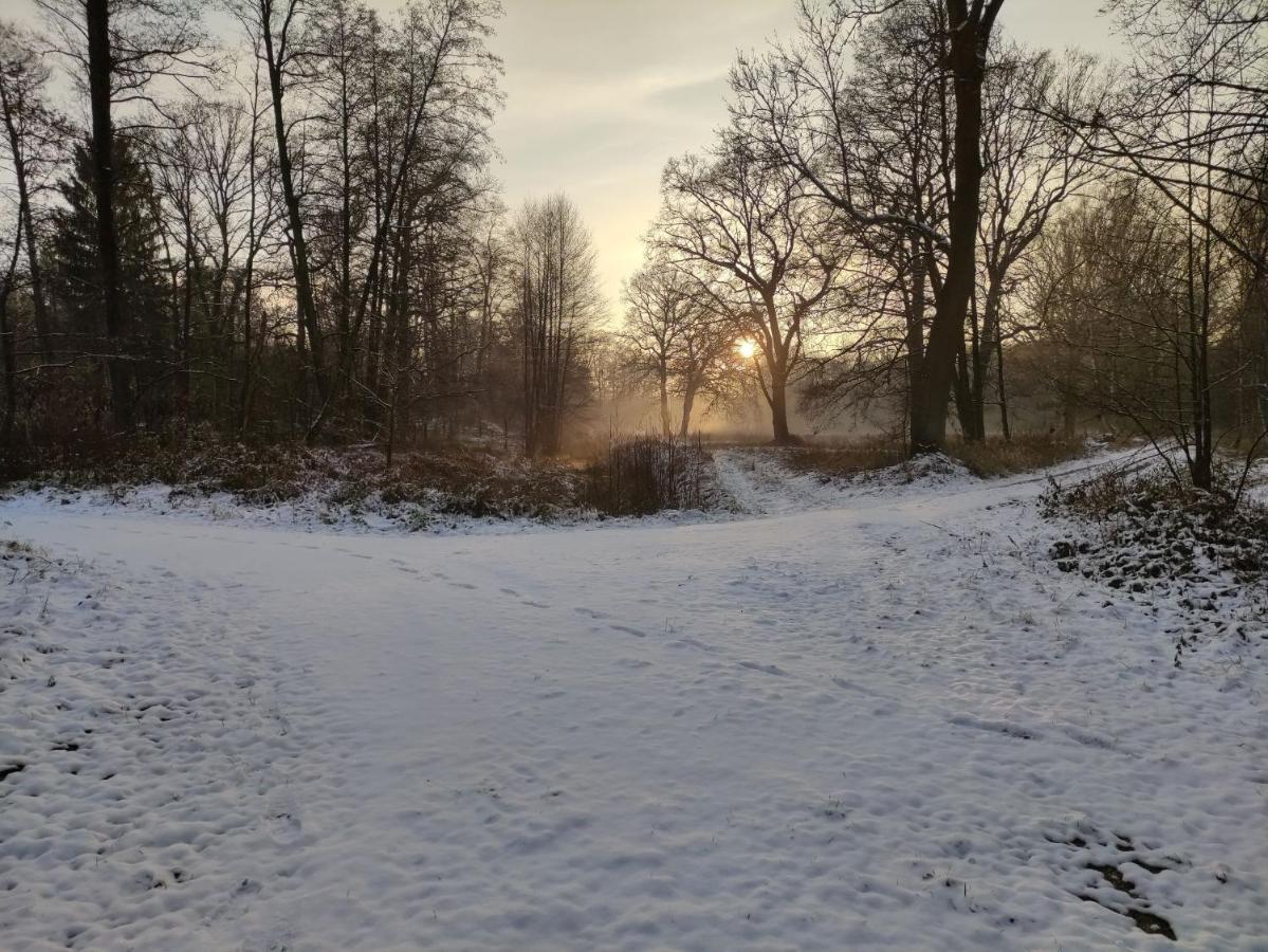 Ferienhaus Erna Doberlug-Kirchhain Kültér fotó