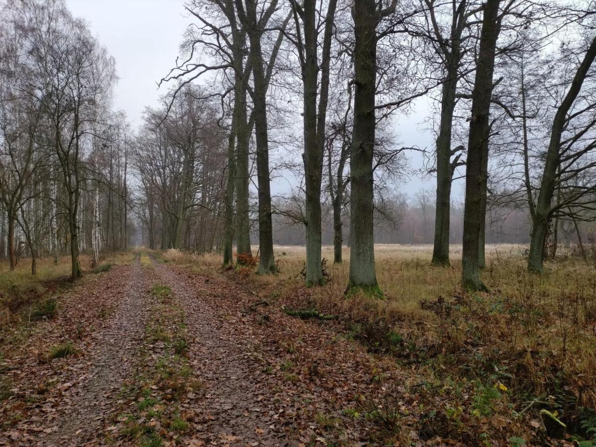 Ferienhaus Erna Doberlug-Kirchhain Kültér fotó