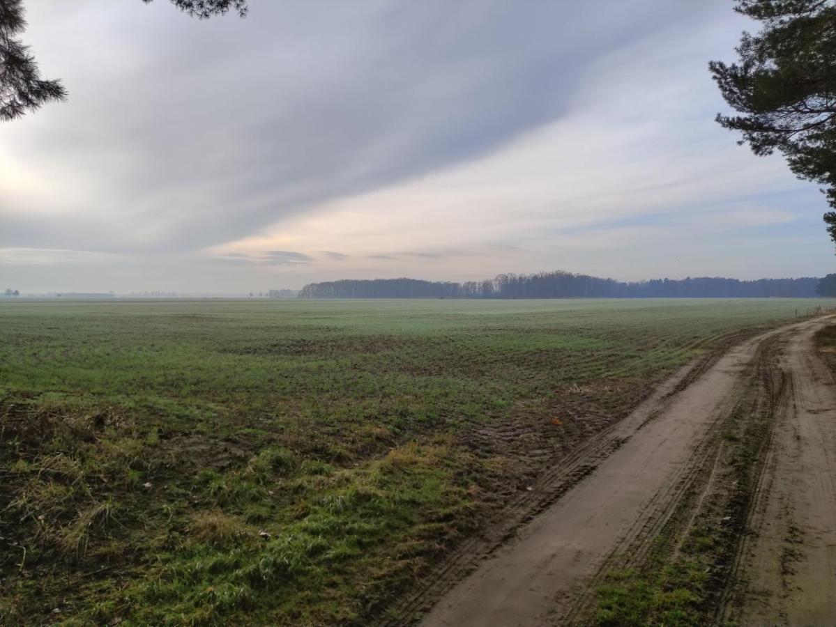 Ferienhaus Erna Doberlug-Kirchhain Kültér fotó