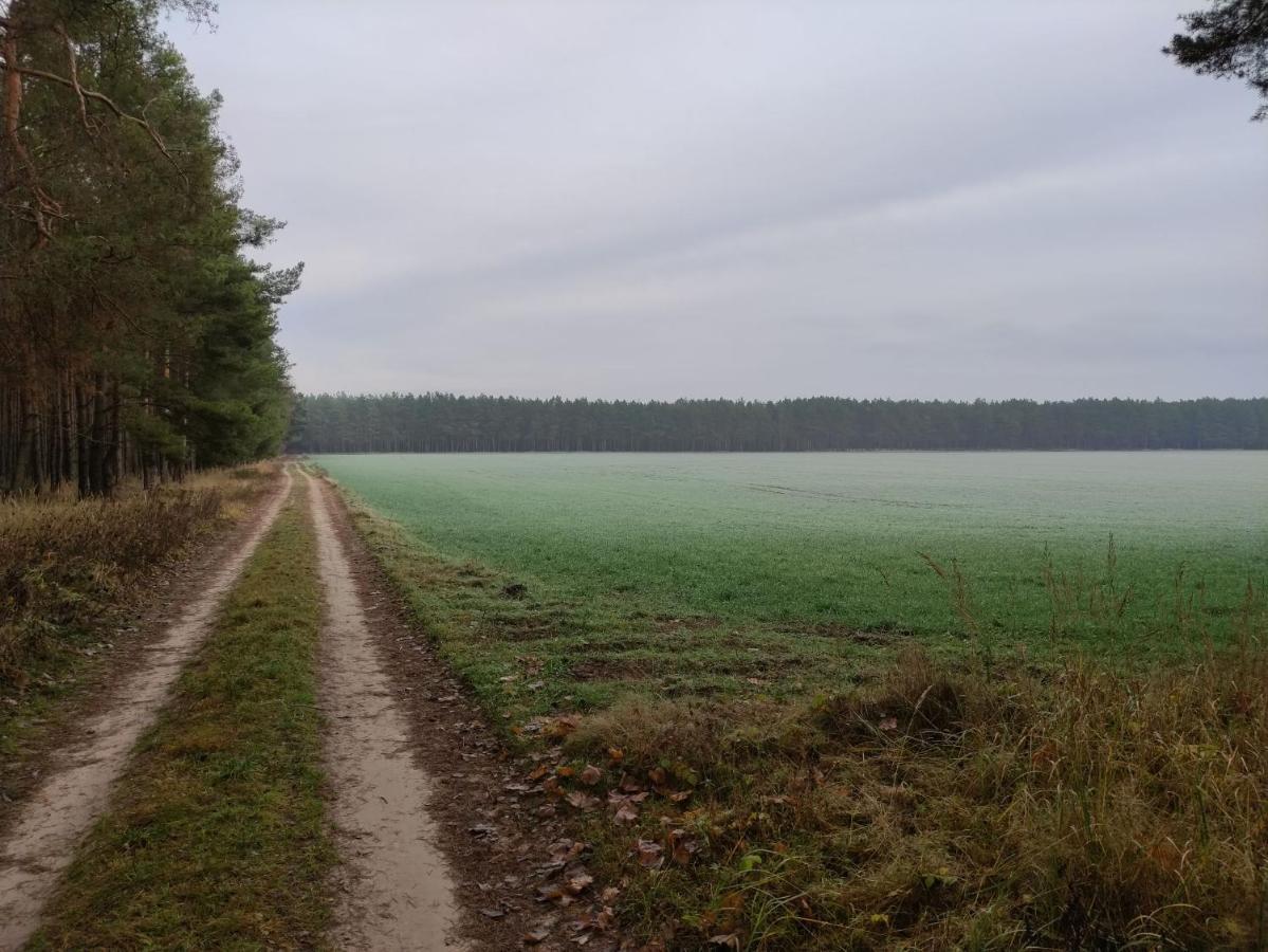 Ferienhaus Erna Doberlug-Kirchhain Kültér fotó