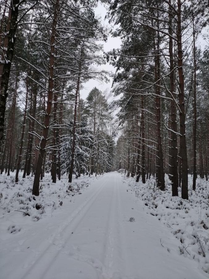 Ferienhaus Erna Doberlug-Kirchhain Kültér fotó