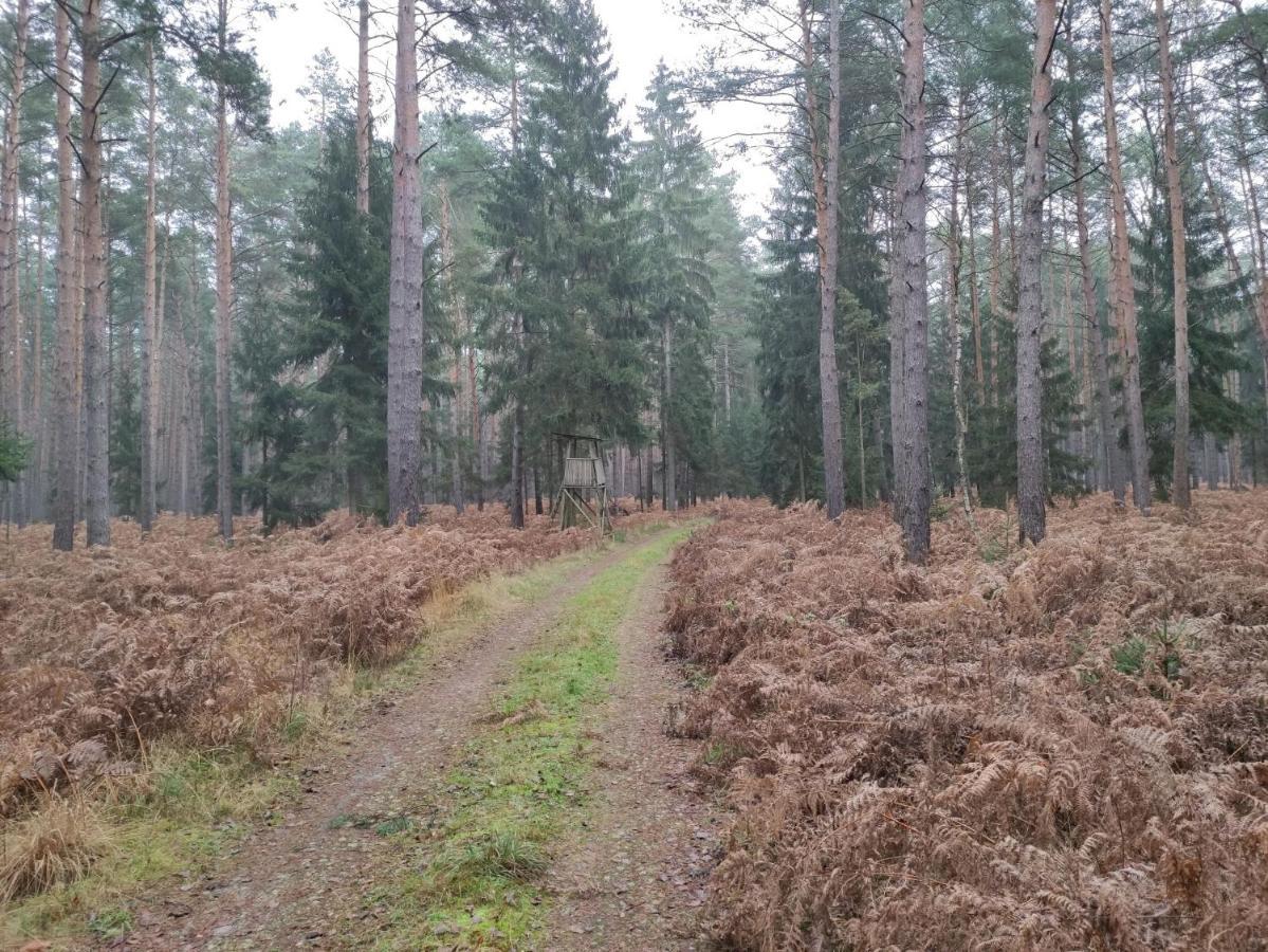Ferienhaus Erna Doberlug-Kirchhain Kültér fotó