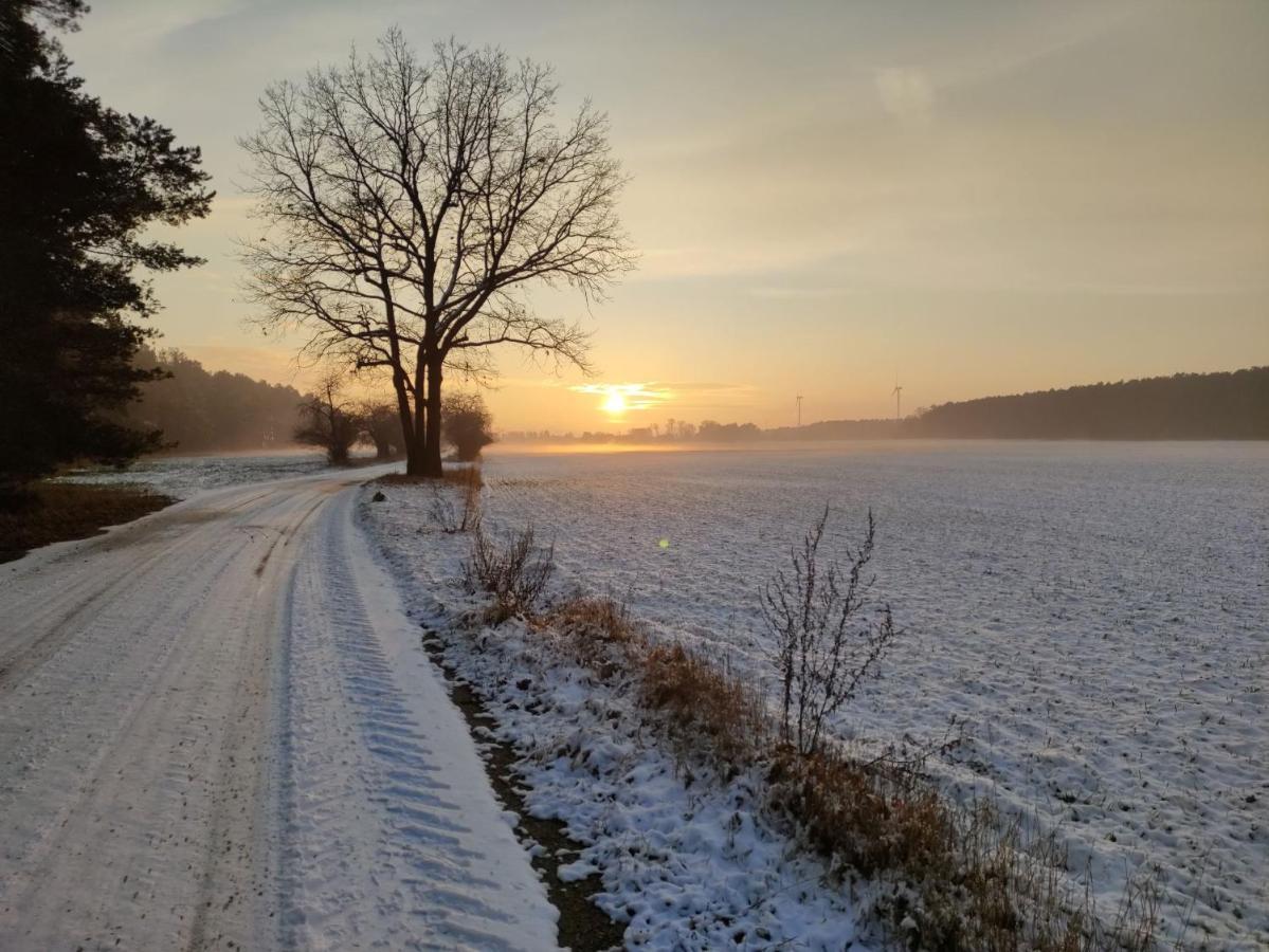 Ferienhaus Erna Doberlug-Kirchhain Kültér fotó
