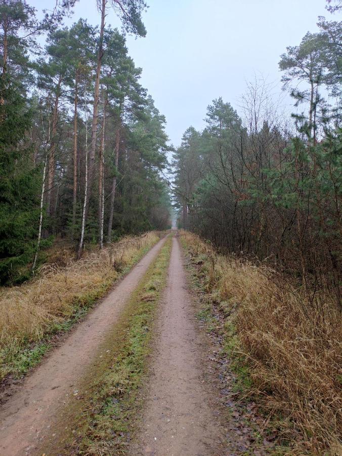 Ferienhaus Erna Doberlug-Kirchhain Kültér fotó