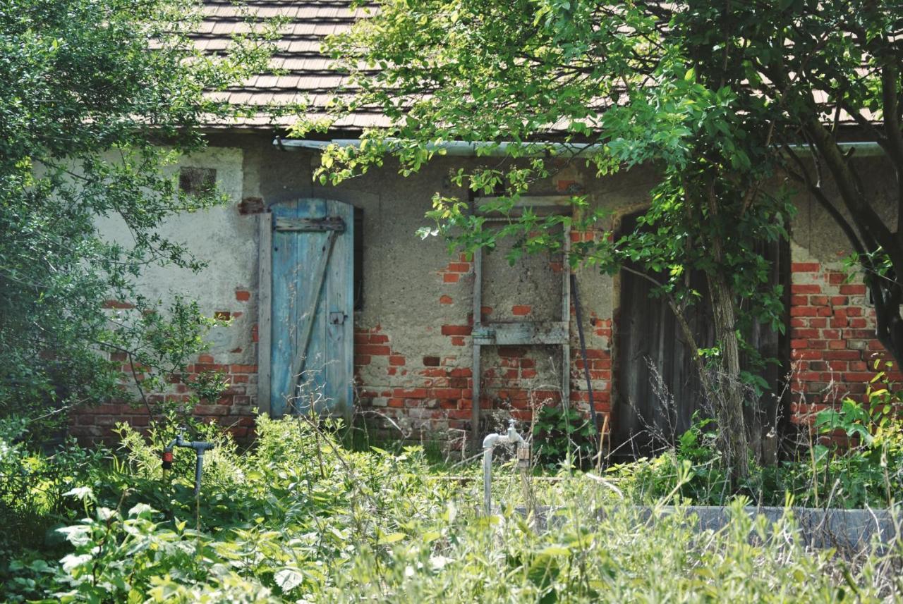 Ferienhaus Erna Doberlug-Kirchhain Kültér fotó