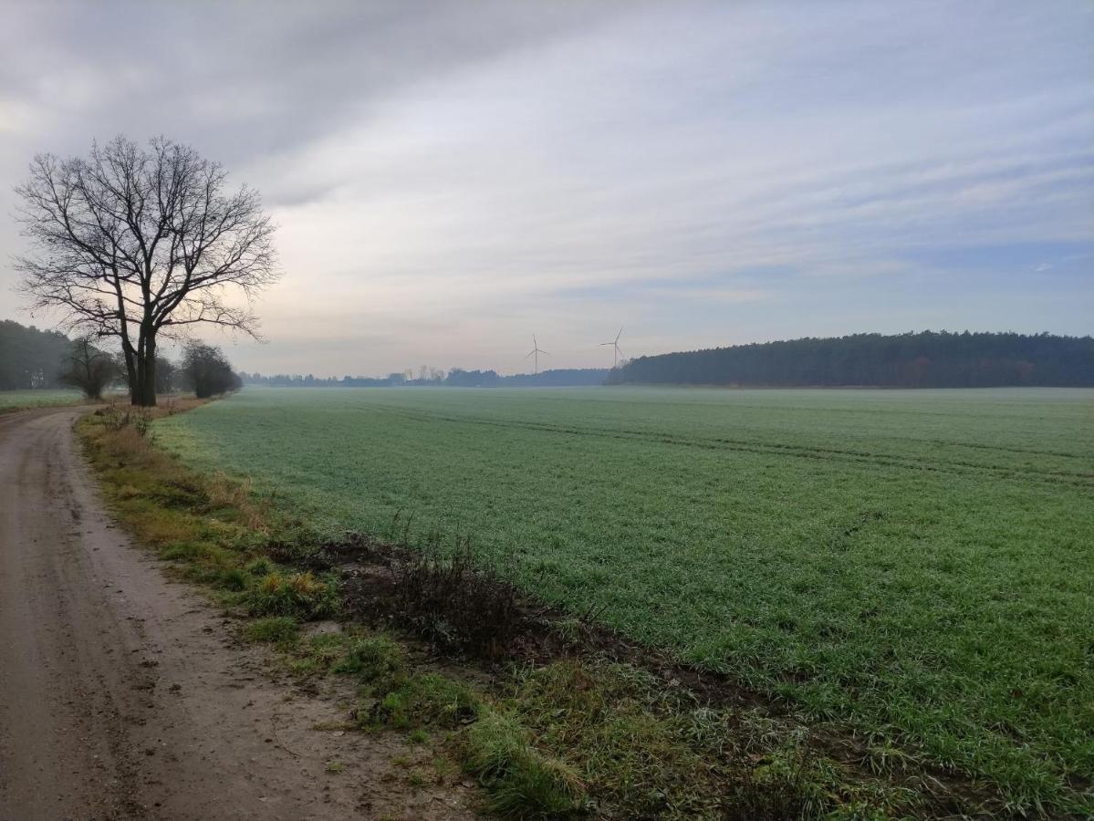 Ferienhaus Erna Doberlug-Kirchhain Kültér fotó