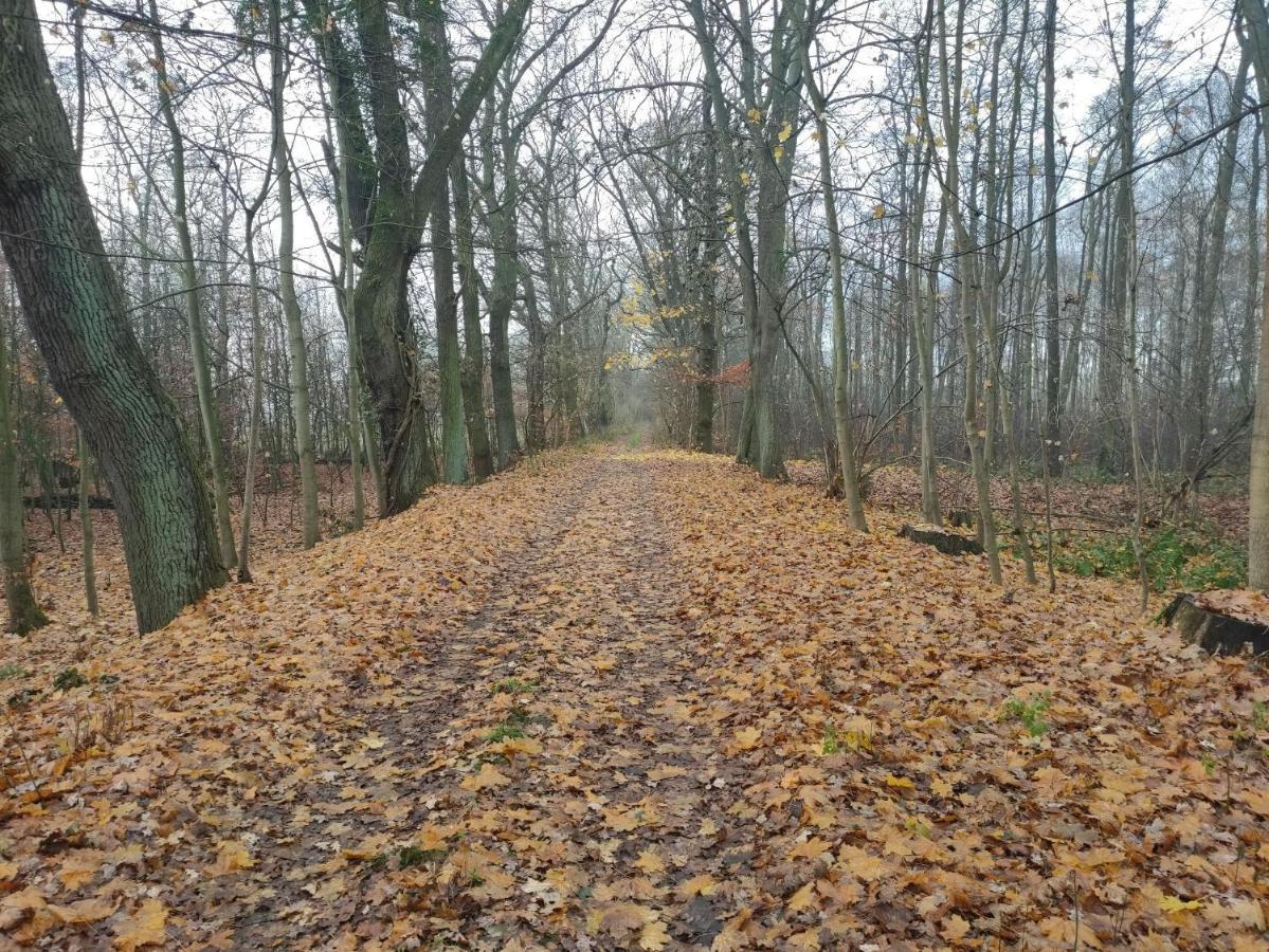 Ferienhaus Erna Doberlug-Kirchhain Kültér fotó